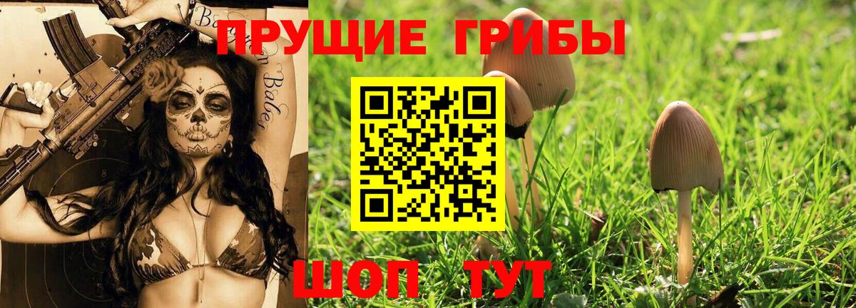 Псилоцибиновые грибы Psilocybine cubensis  Вход с VPN  Новоуральск 